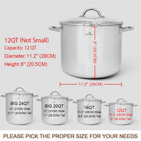 HOMICHEF stockpot compatible with induction and other stoves
