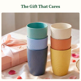 Homienly wheat straw cups ideal for picnics and office breaks.