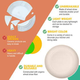 Homienly dinner plates in modern beige tone complement varied tableware