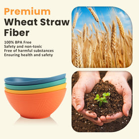 Homienly wheat-straw fiber bowls as a healthy eco-friendly table option