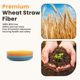 Homienly wheat straw material offers eco-friendly dining.