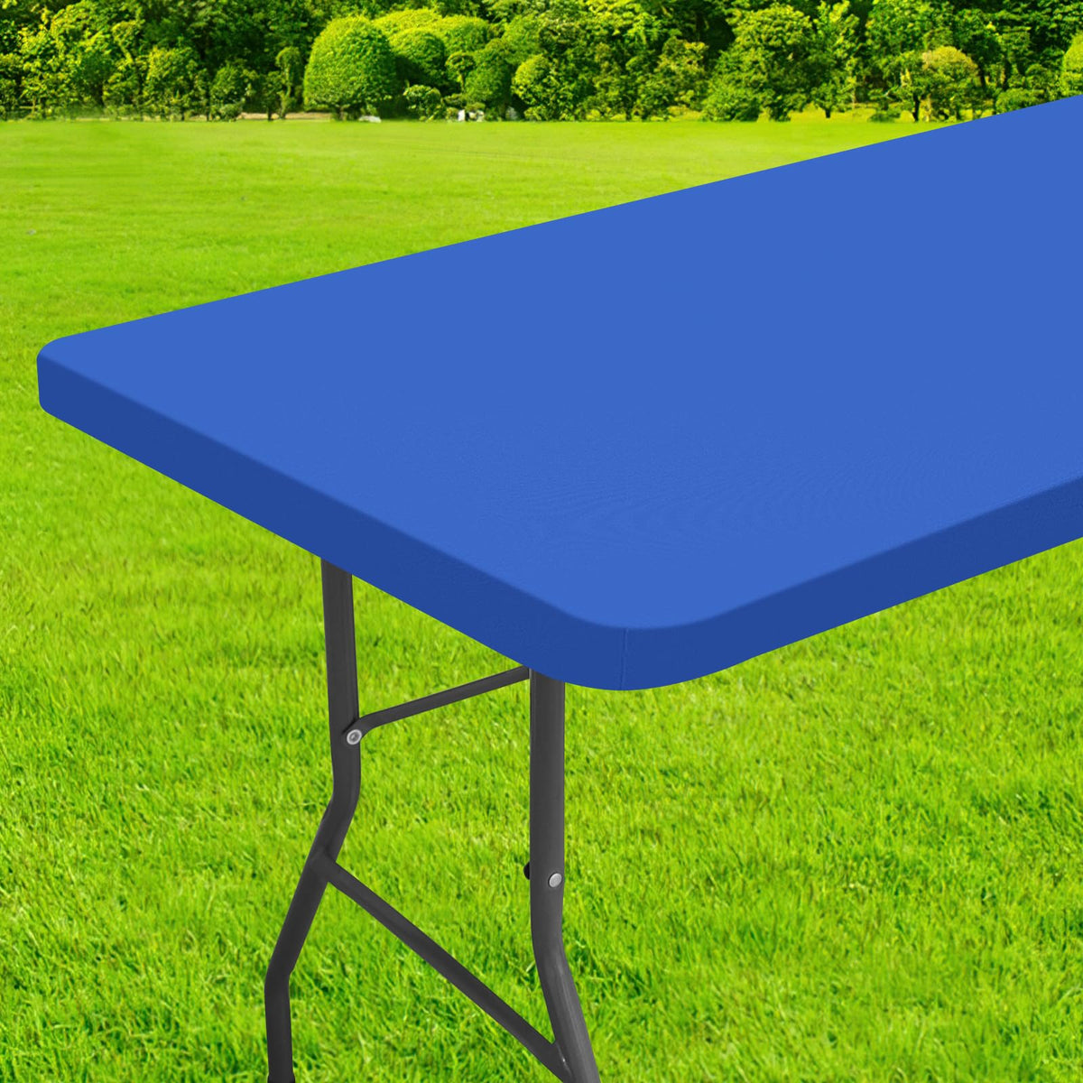 Homing rectangle tablecloth cover with elastic edge keeps the blue table neat.