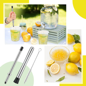 Honeydak lemonade stand kit with essential tools for fresh drinks