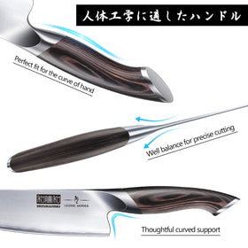 HOSHANHO 7-inch fillet knife for delicate fish prep.