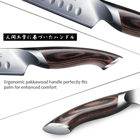 HOSHANHO meat slicing knife close-up demonstrates clean, even cuts.