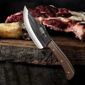 HOSHANHO paring knife 5.5-inch precise peeling and trimming