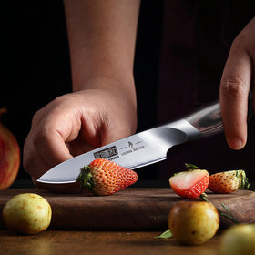 HOSHANHO paring knife gift idea for cooks