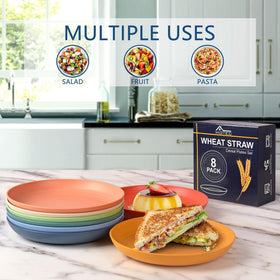 HOTEC 8-pack ensures enough plates for family dinners and gatherings