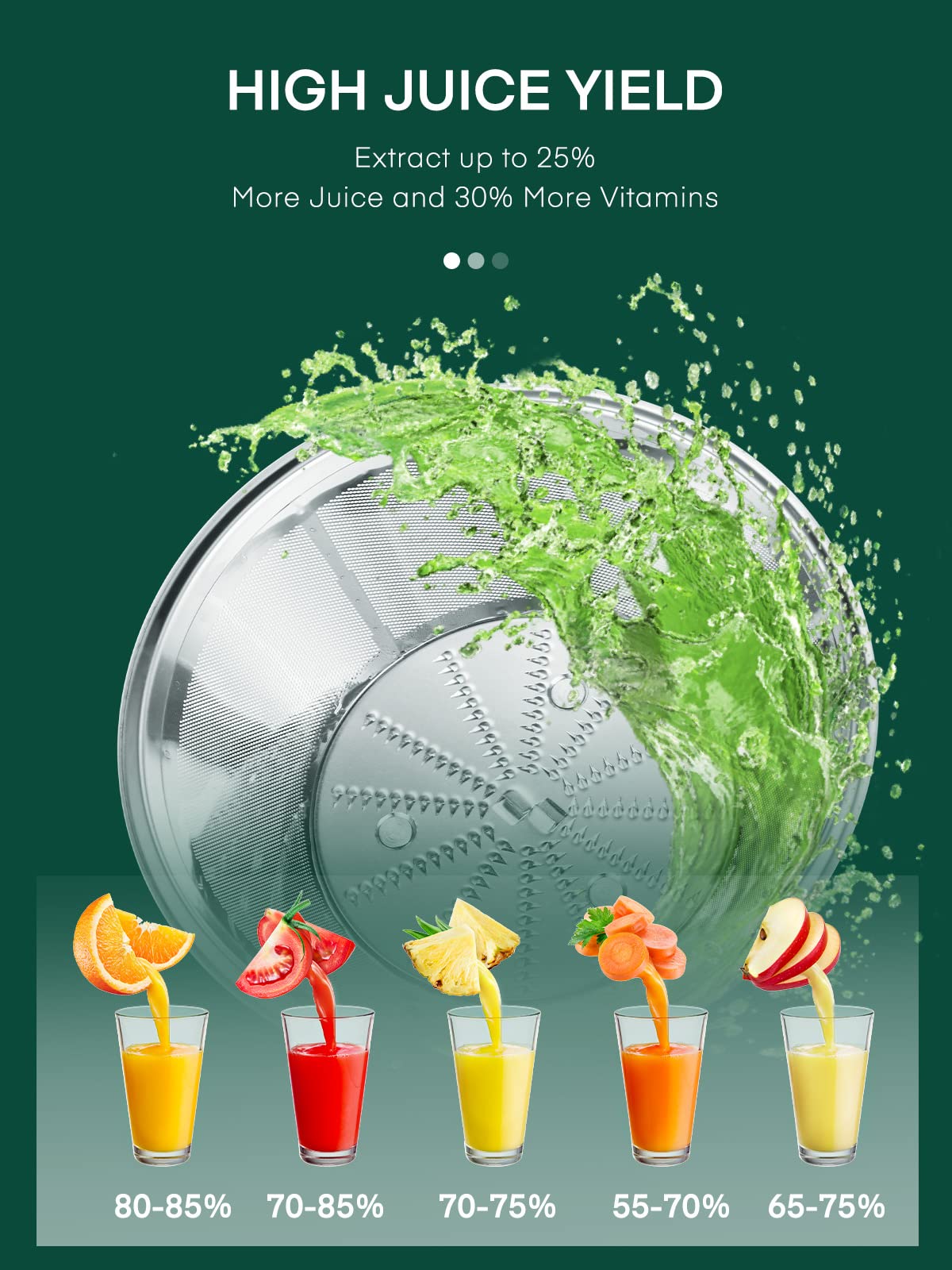 HOUSNAT juicer 3-speed panel for soft to hard produce