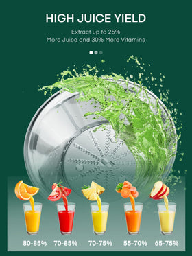 HOUSNAT juicer 3-speed panel for soft to hard produce