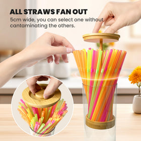 HOYTAMDAR transparent body shows organized straws for quick selection.