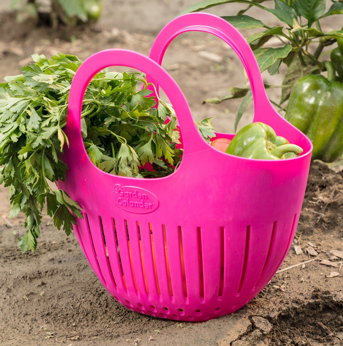 Hutzler Mini Colander is perfect for kids' garden harvests and family tasks