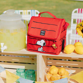 Igloo Snoopy’s House easy-clean materials support quick maintenance.