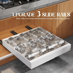 Seinloes 4-Pack Expandable Pull-Out Cabinet Organizer — 12.1–20.4 in Wide, 21