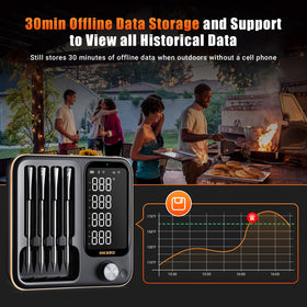 Inkbird INT-14-BW stores 30 minutes of offline data for later review