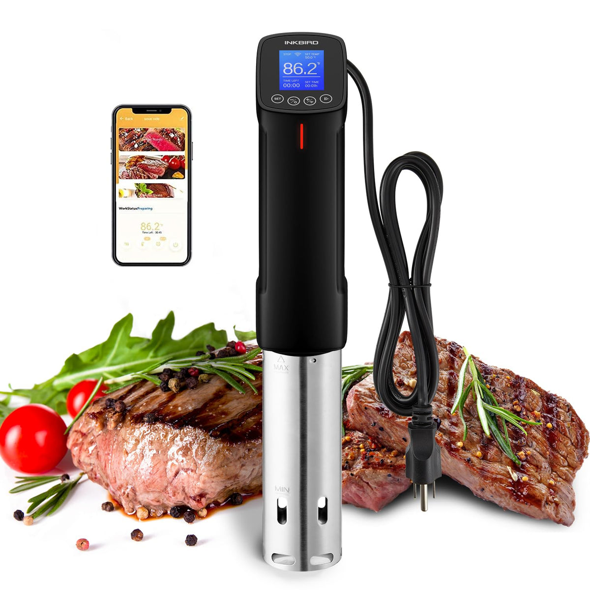Inkbird ISV-100W app control enables remote temperature adjustments.