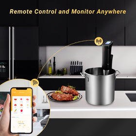 Inkbird ISV-100W digital display for precise, easy temperature tweaks.