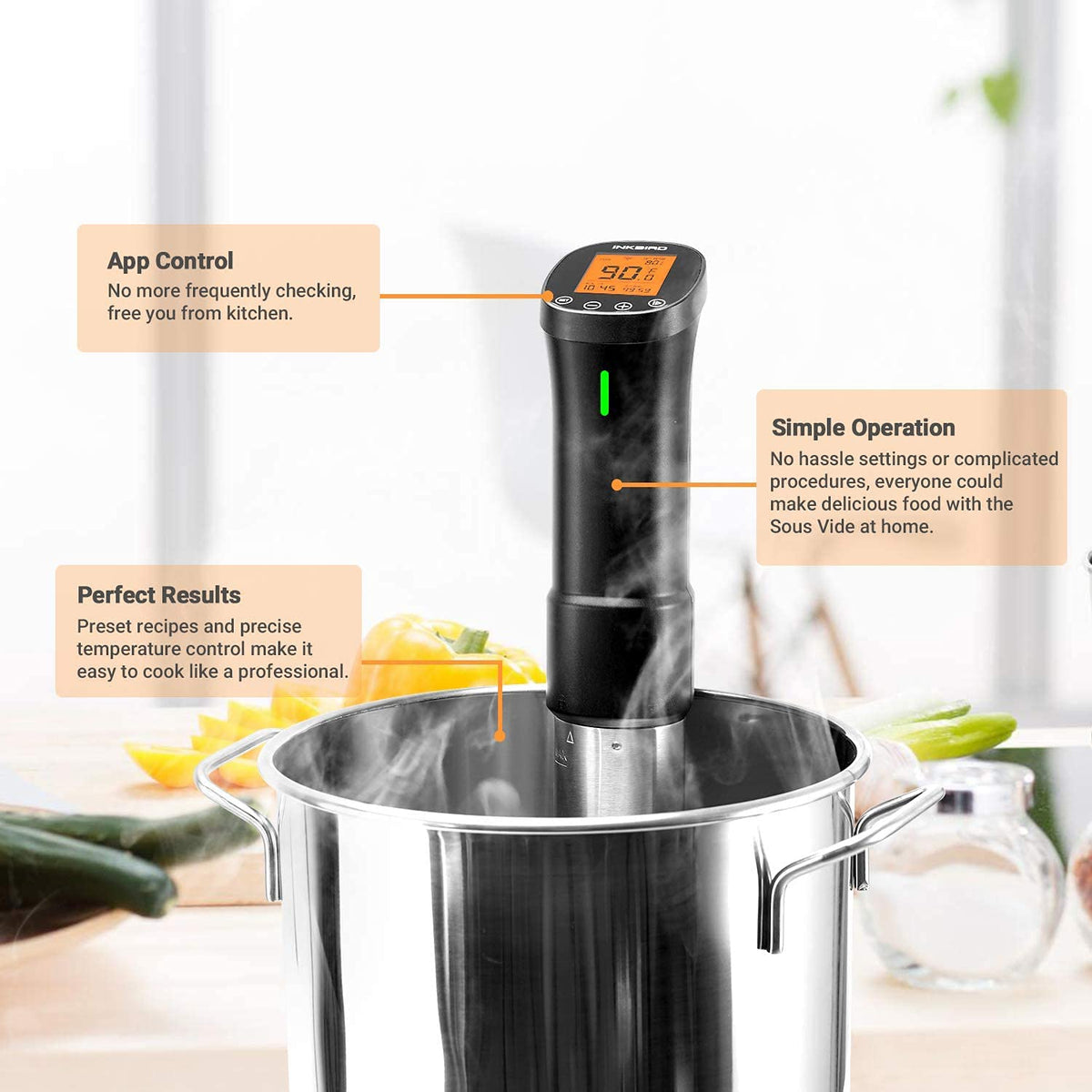 Inkbird ISV-200W temperature control dial ensures accurate doneness.