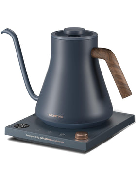 Intasting Electric Kettle with gooseneck spout for precise pour-over control.