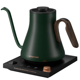 INTASTING electric kettle with gooseneck spout for precise pour-over control.