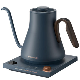Intasting electric kettle with gooseneck spout for precise pour-over control.
