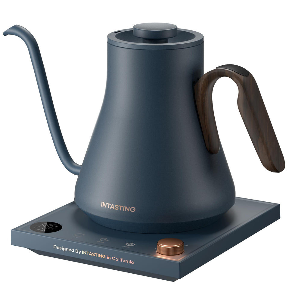 Intasting electric kettle with gooseneck spout for precise pour-over control.