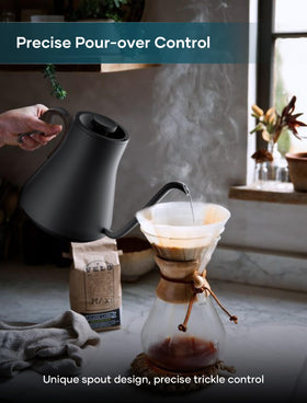 INTASTING Electric Kettle precision-base offers accurate temps at a glance.