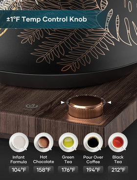 INTASTING stainless interior ensures clean water for every cup