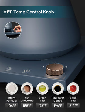Intasting Electric Kettle base shows temperature control for consistent brewing.