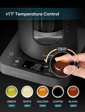 Intasting electric tea kettle with infuser for loose-leaf brewing