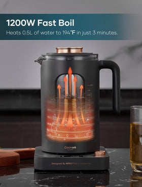 Intasting electric tea kettle BPA-free glass keeps water clean and odor-free