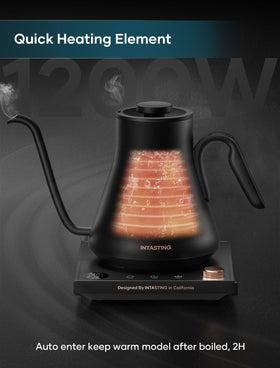 INTASTING plastic-free sensor visual emphasizes pure water contact.
