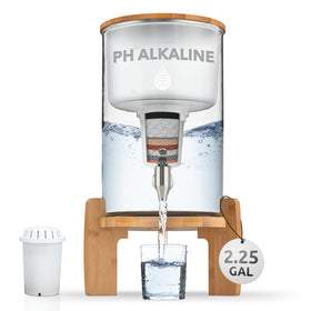 Invigorated Water pH Recharge glass dispenser on the kitchen counter offering clean alkaline hydration.