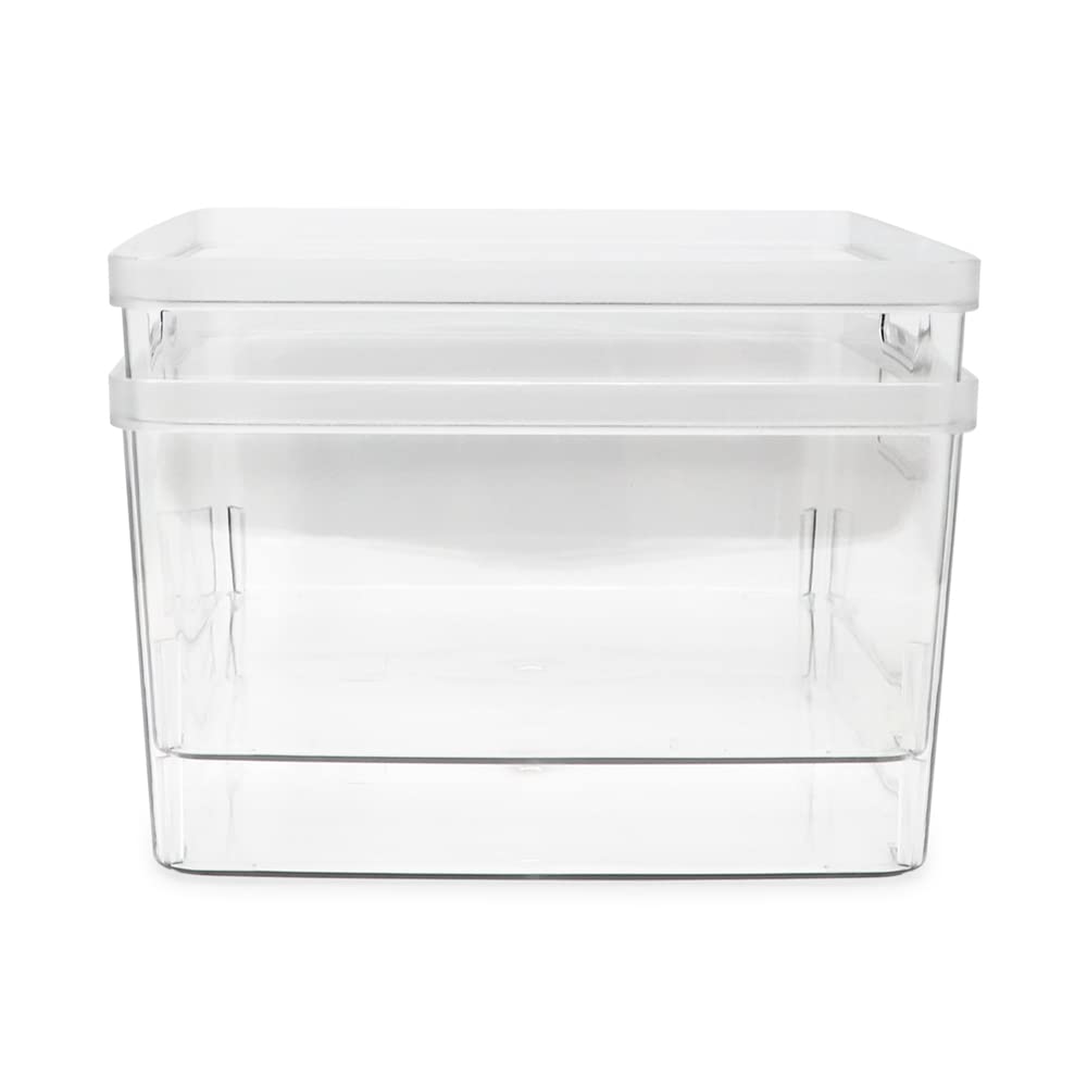 Isaac Jacobs bathroom storage bin separates toiletries from cleaning items neatly.