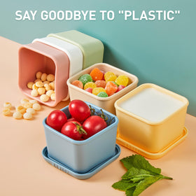 ISSEVE microwave-safe and dishwasher-safe containers for quick heating and cleaning.