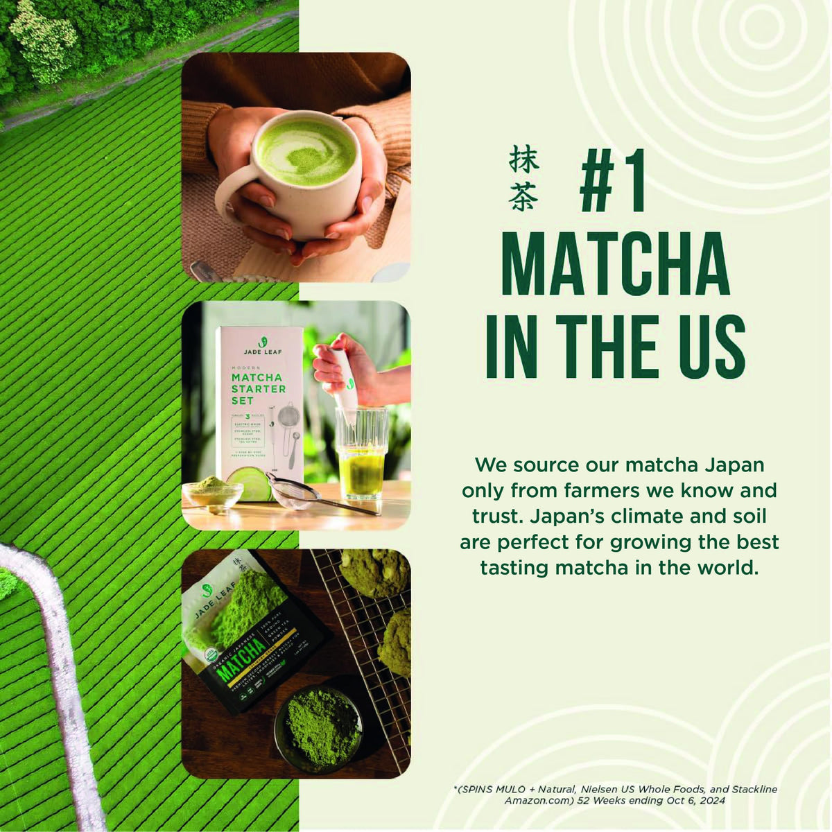Jade Leaf Matcha preparation guide offers beginner steps for a smooth start