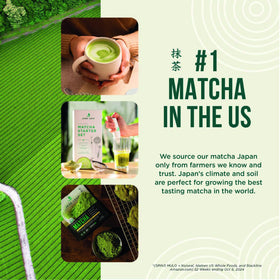 Jade Leaf Matcha preparation guide offers beginner steps for a smooth start