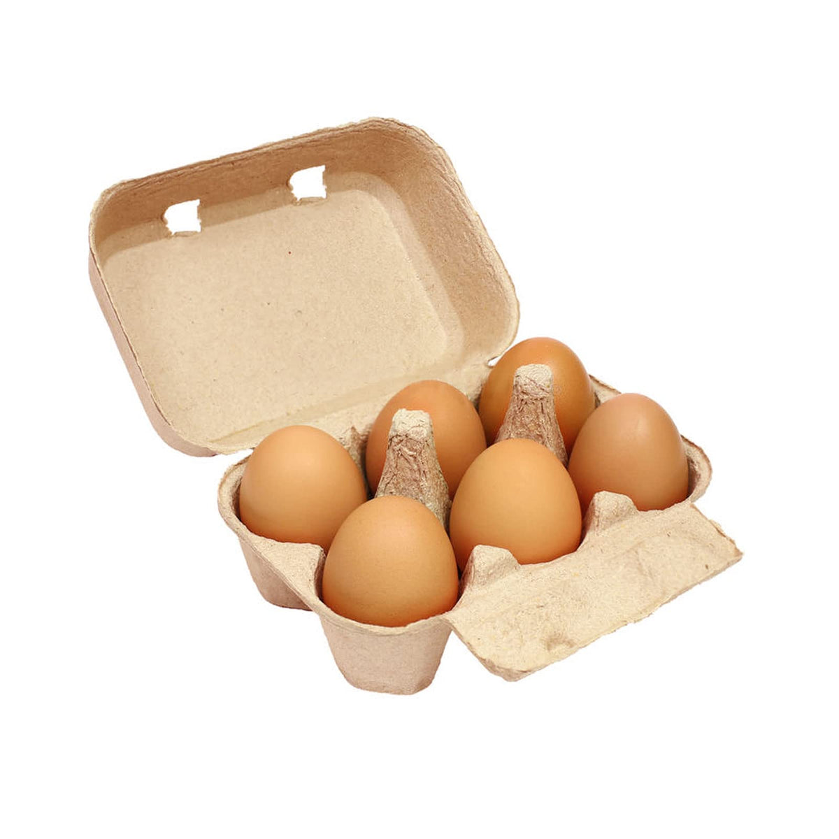 JAPCHET ideal for chicken and duck eggs at home or farm