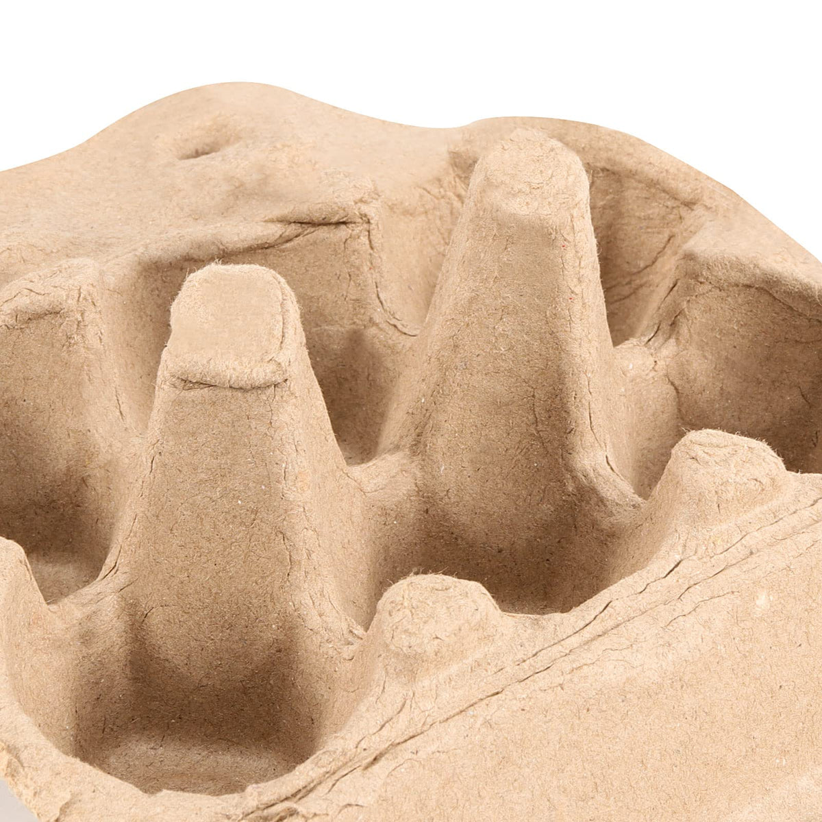 JAPCHET paper pulp material emphasizes eco-friendly packaging