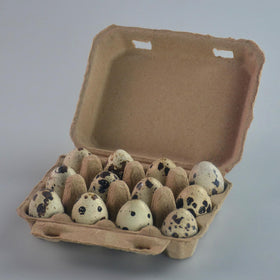 JEUIHAU quail egg cartons blank top invites custom labeling and branding.
