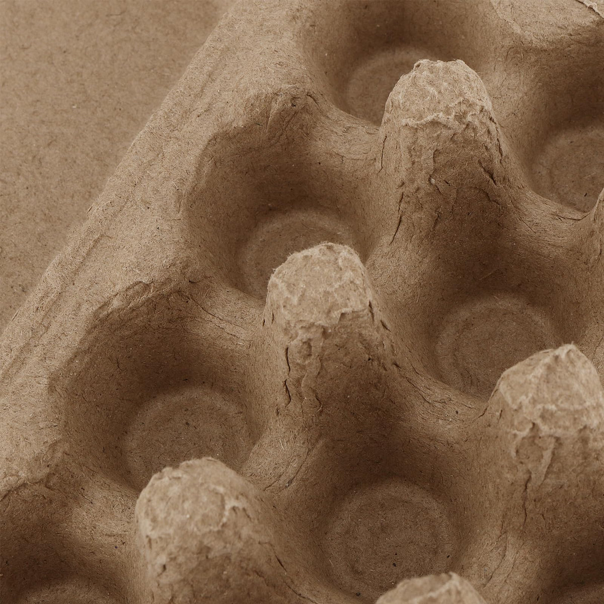 JEUIHAU quail egg pulp cartons feature two clasps for secure closure.