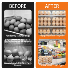 Jibrelxion transport-safe closure prevents eggs from slipping during market deliveries.