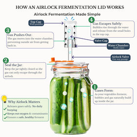 Clamp lid with silicone seal promotes airtight fermentation environment