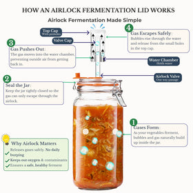 JILLMO clear glass jars showcase your ferments while staying sturdy and reusable.