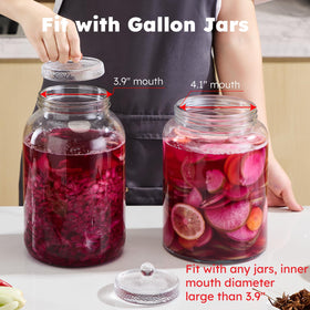 Jillmo heavy glass weight for fermenting prevents floating vegetables