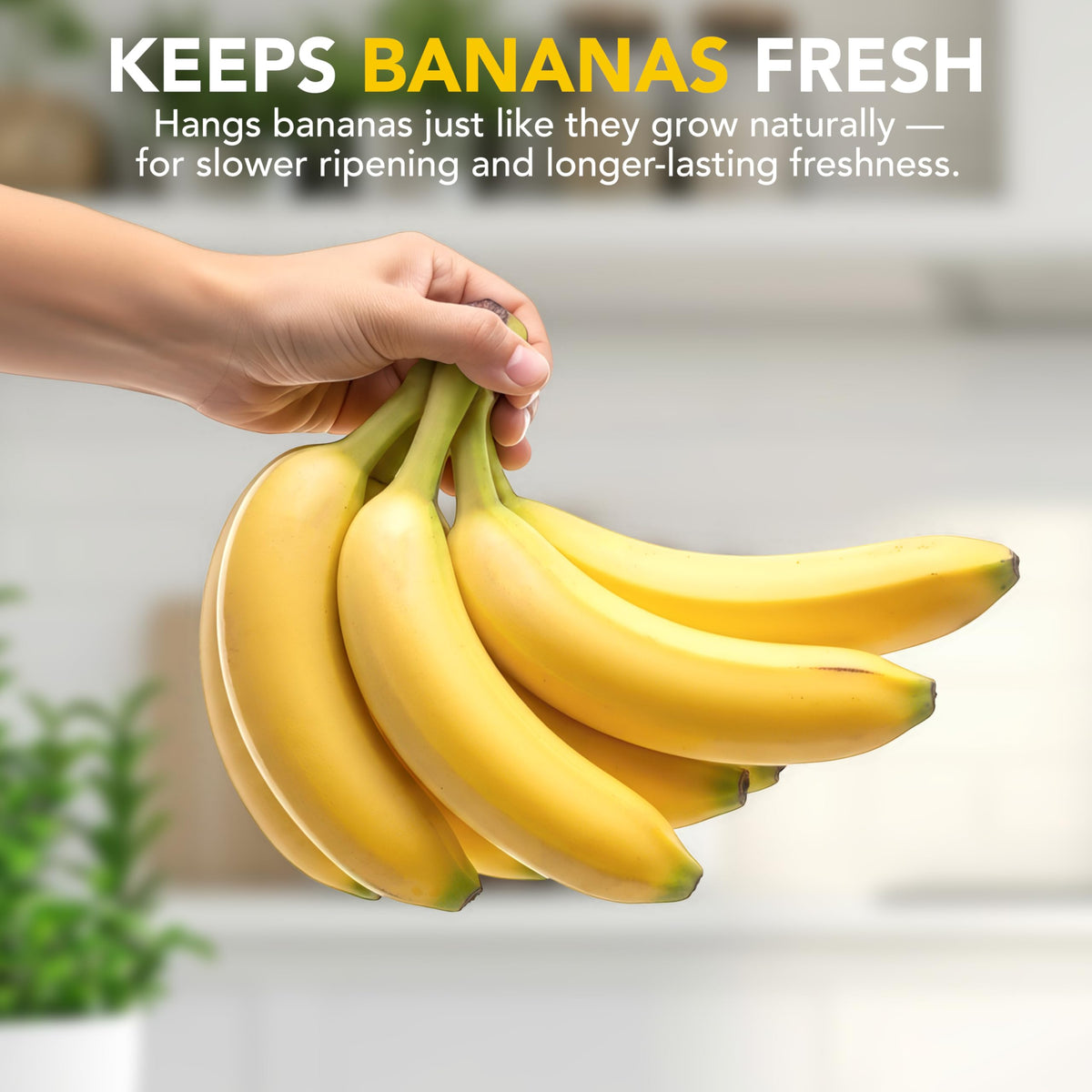 Joie Monkey Banana Tree Holder bananas ripen evenly on hanging tree design.