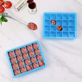 Jootic silicone freezer mold freezes ginger into precise portions