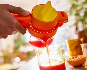 JuiceMax Plus ideal for oranges, lemons, and limes in everyday use