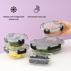 JoyJolt borosilicate square 11oz container is great for lunches.