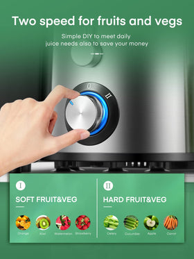 Juilist juicer two-speed control for soft and hard produce